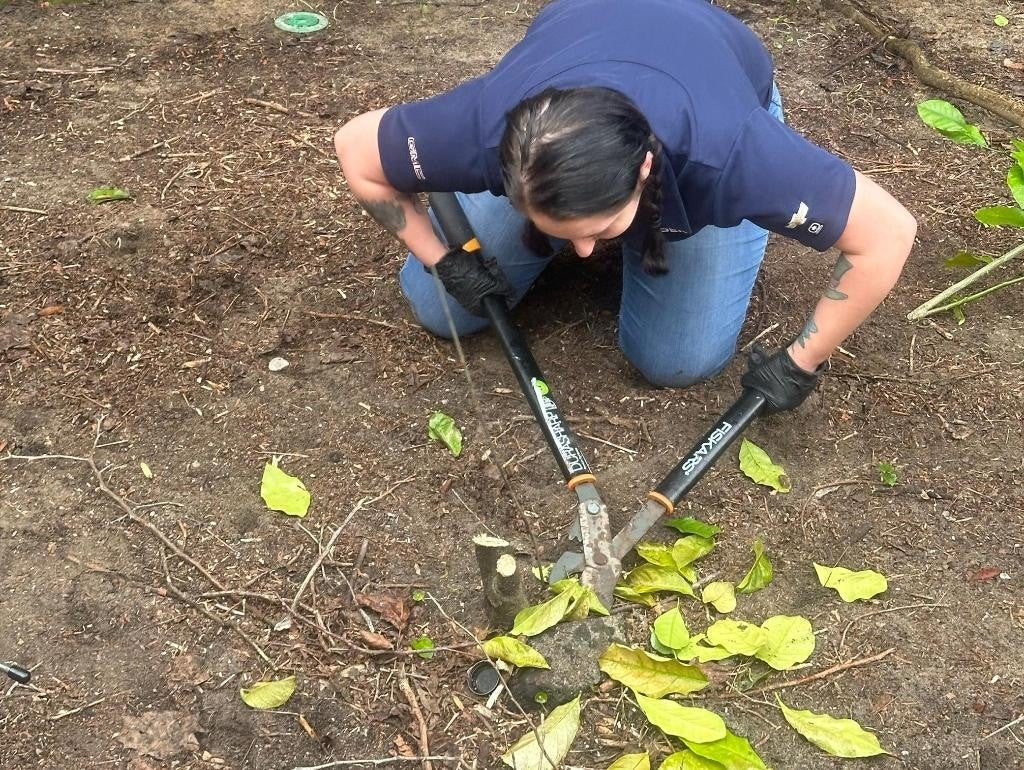 A person using large clippers in a garden